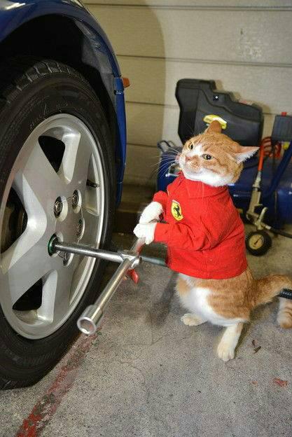 NowLoading...