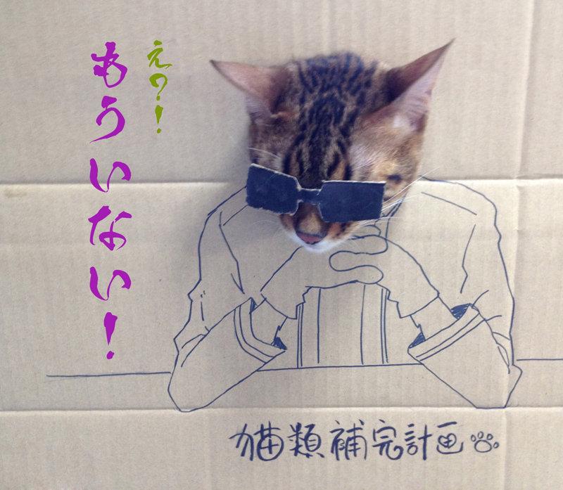 NowLoading...