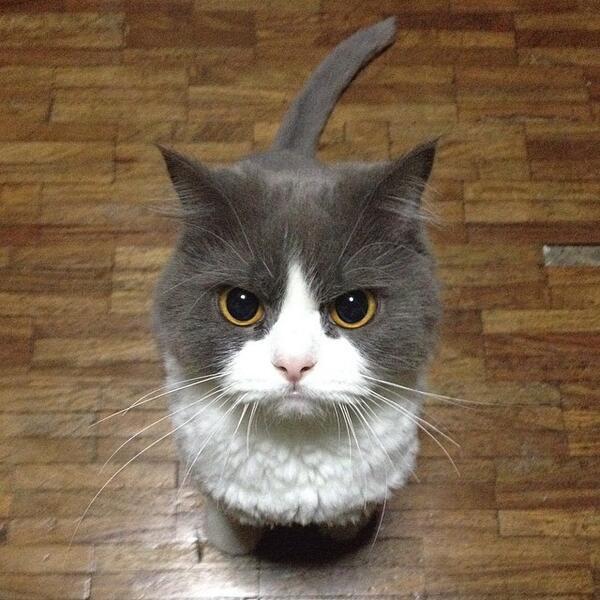 NowLoading...