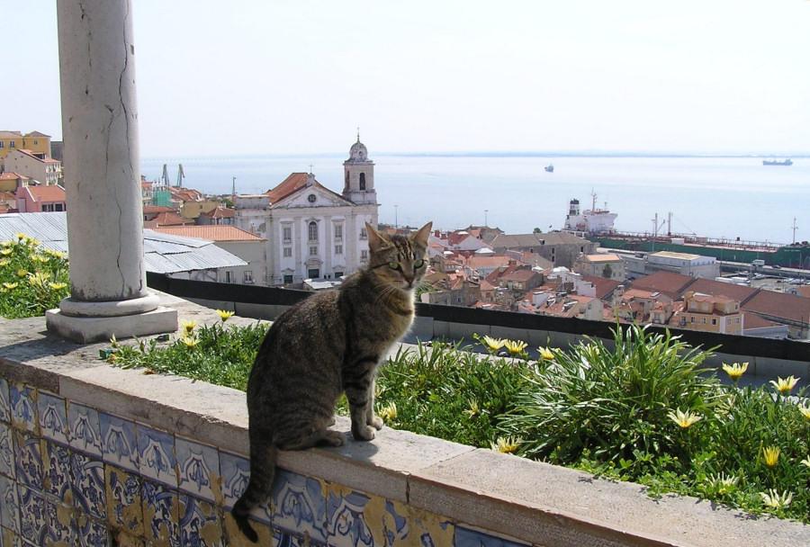 NowLoading...