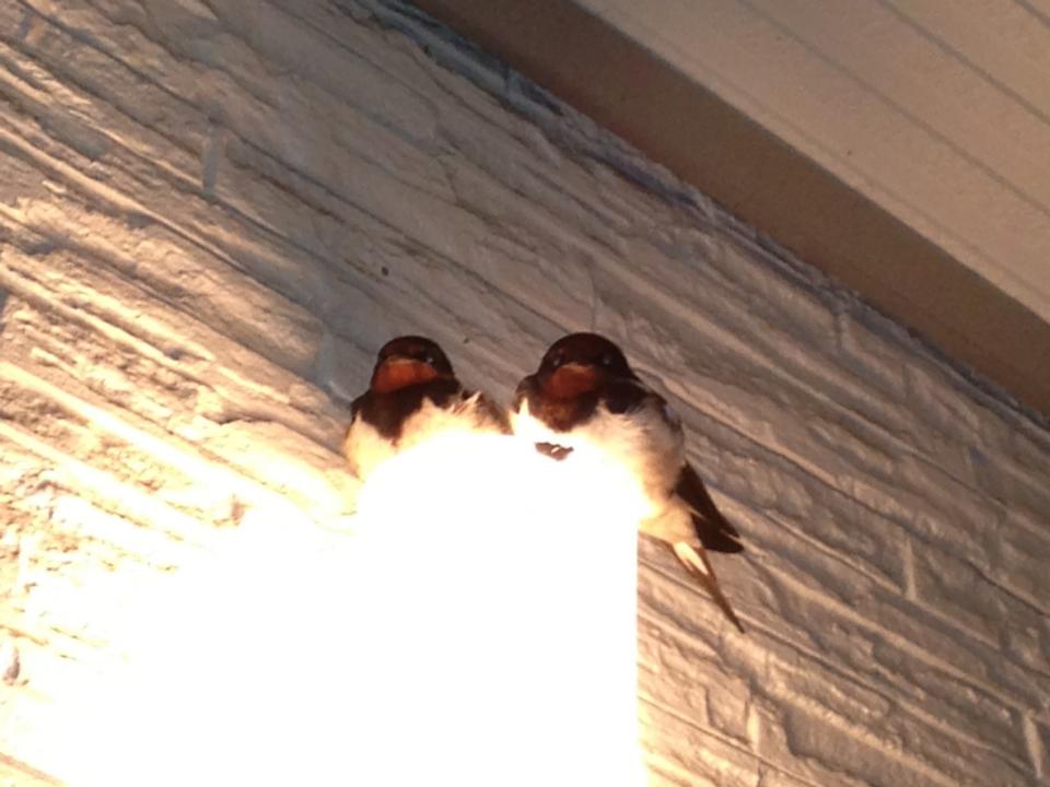 NowLoading...