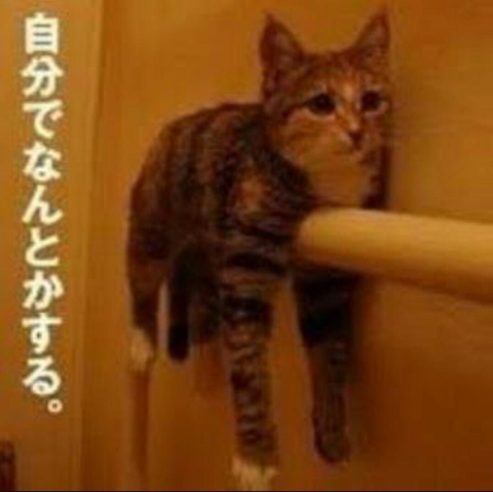 NowLoading...