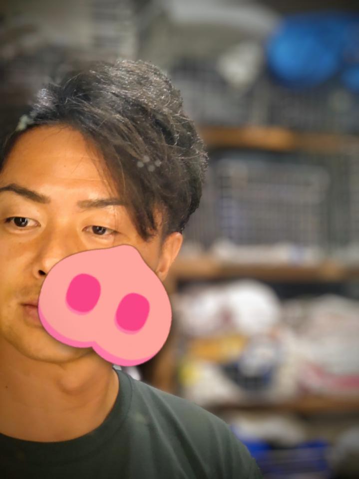 NowLoading...