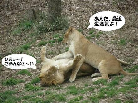 NowLoading...