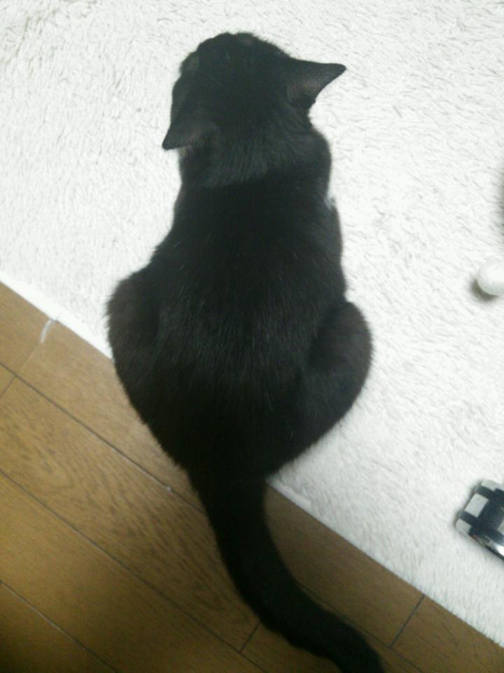 NowLoading...