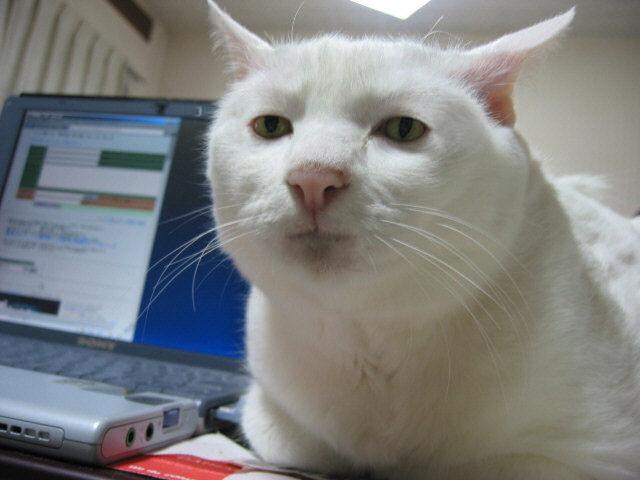 NowLoading...