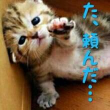 NowLoading...