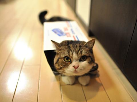NowLoading...