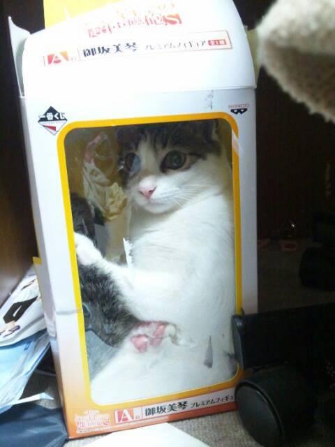 NowLoading...