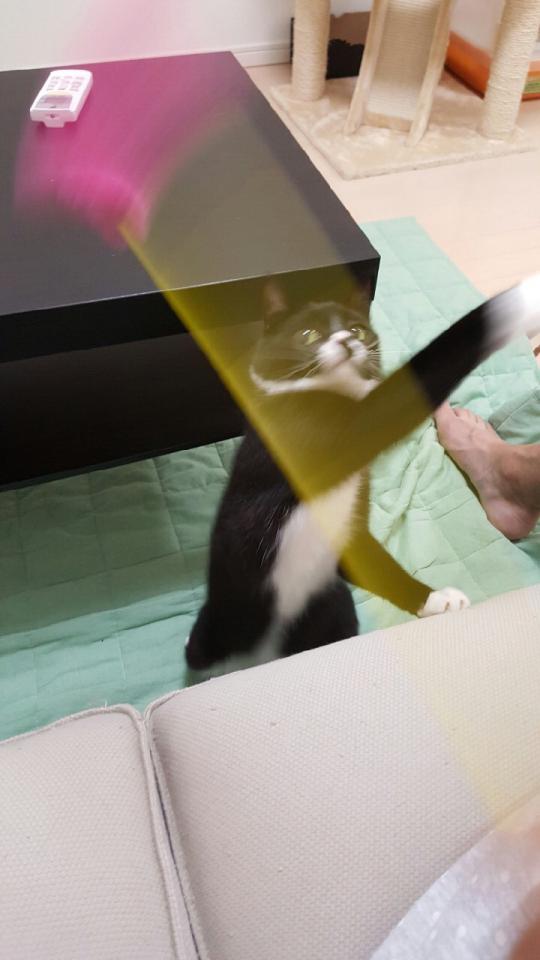 NowLoading...