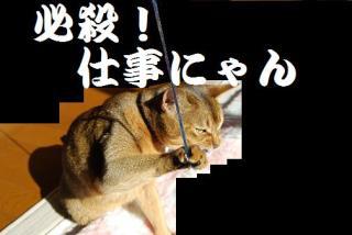 NowLoading...