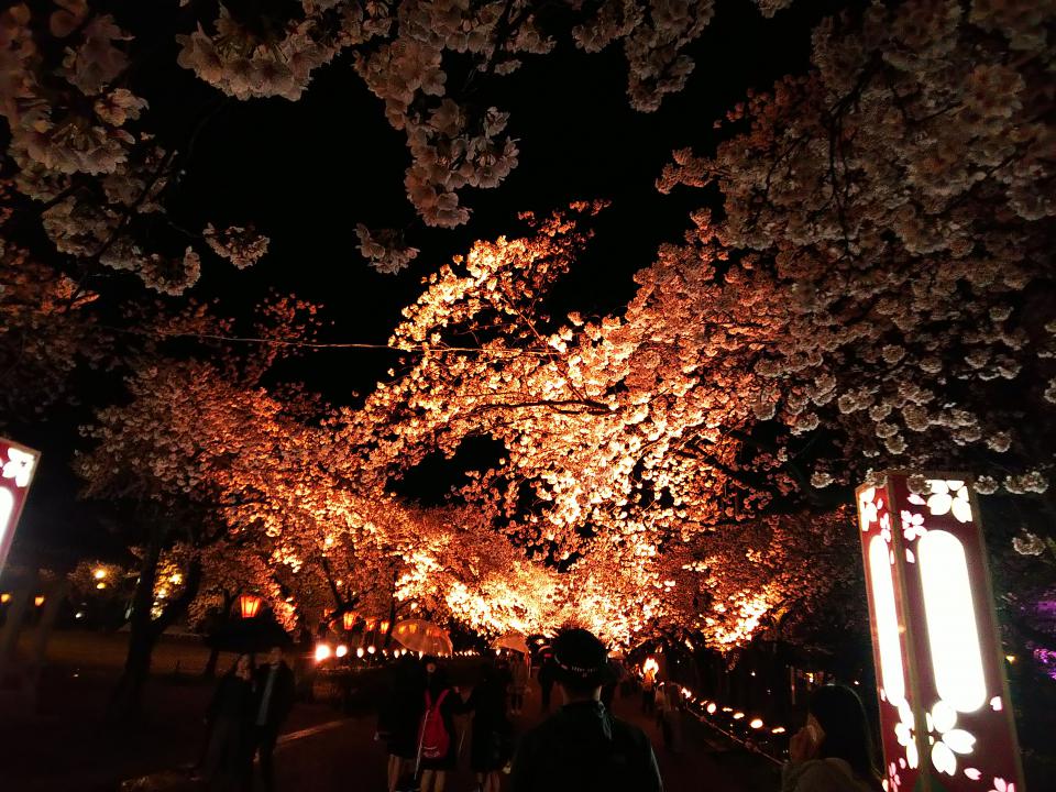 NowLoading...