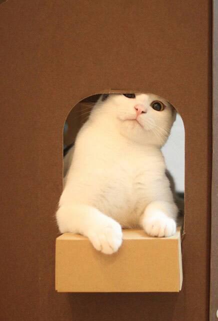 NowLoading...