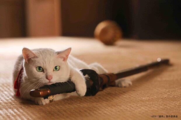 NowLoading...