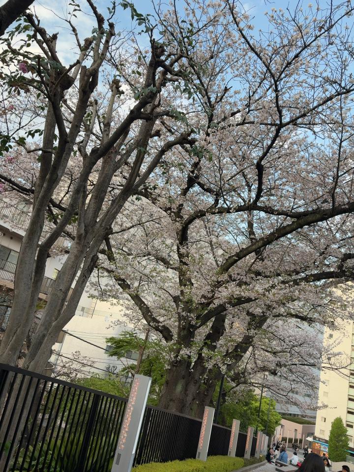 NowLoading...