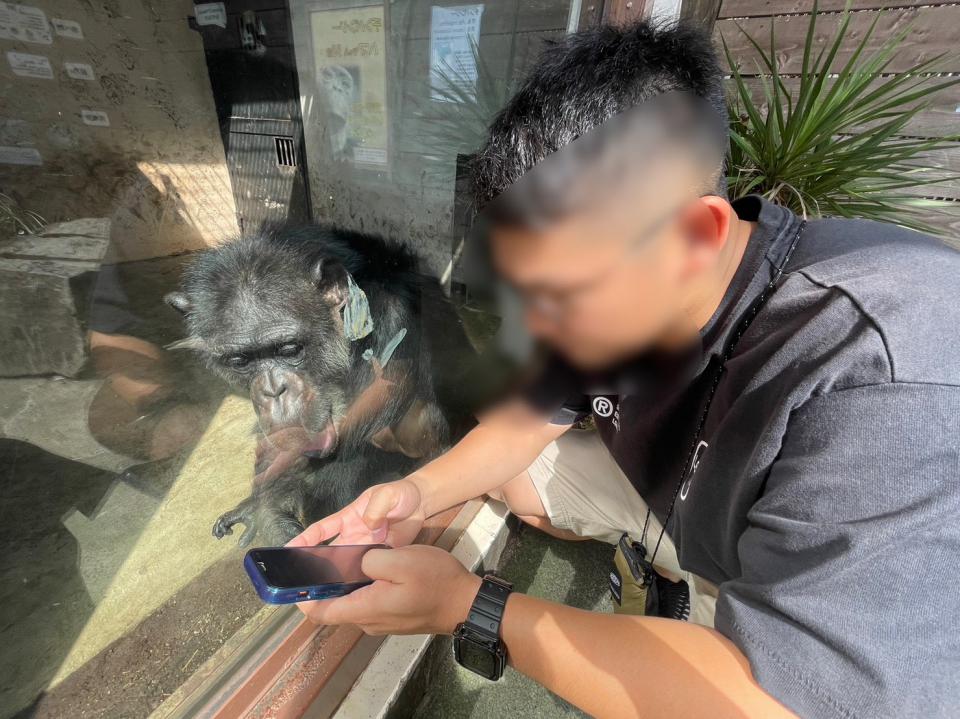 NowLoading...