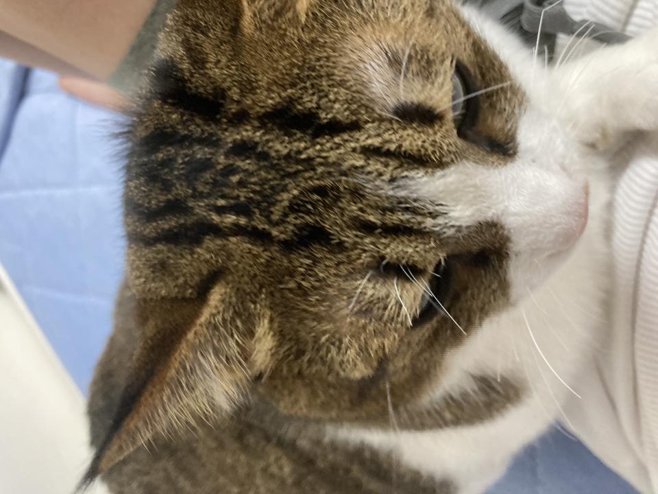 NowLoading...