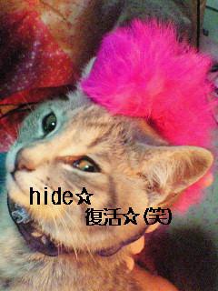 NowLoading...