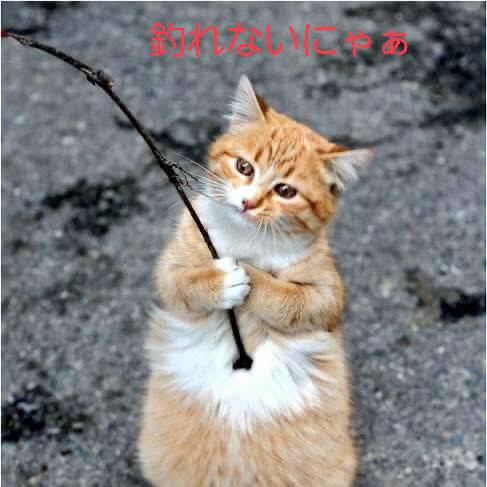 NowLoading...