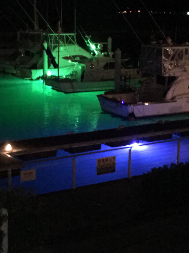 NowLoading...