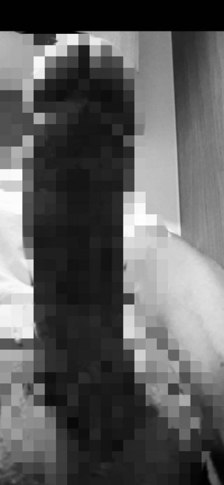 NowLoading...