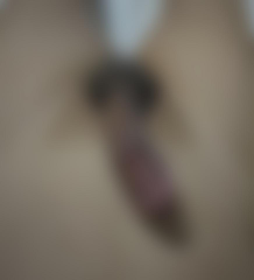NowLoading...