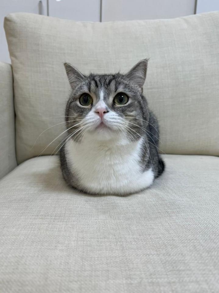 NowLoading...