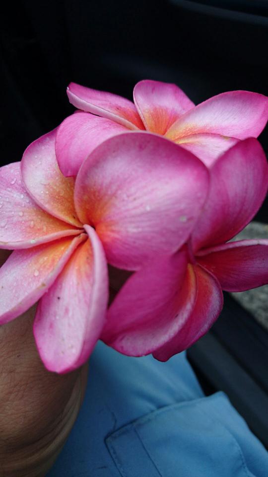 NowLoading...