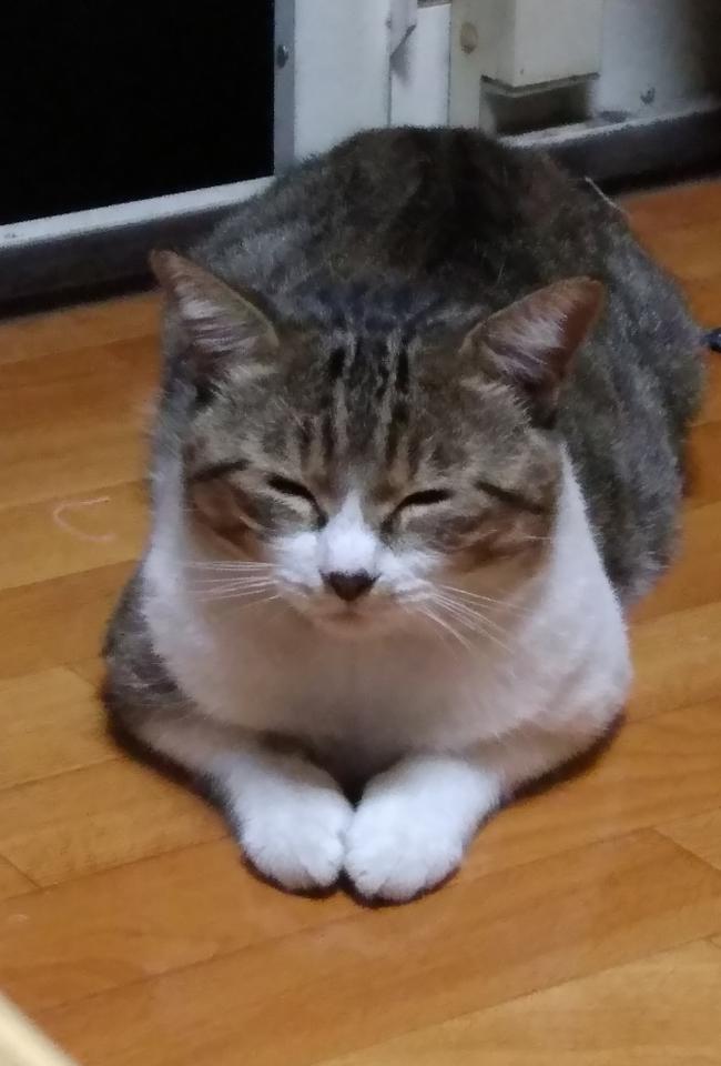 NowLoading...