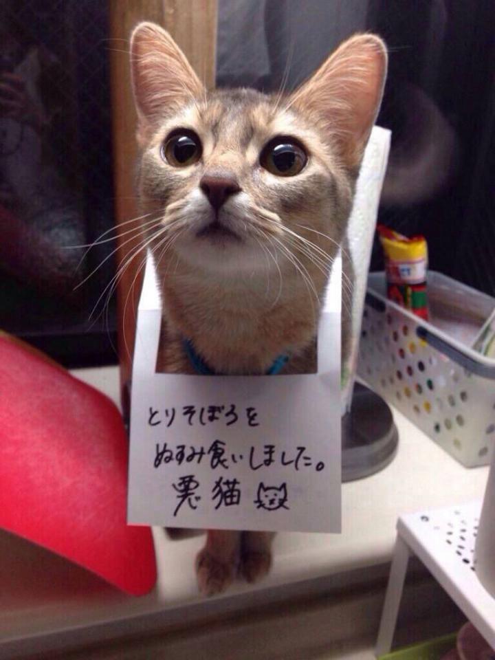 NowLoading...