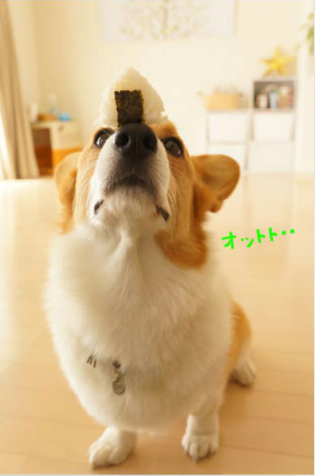 NowLoading...