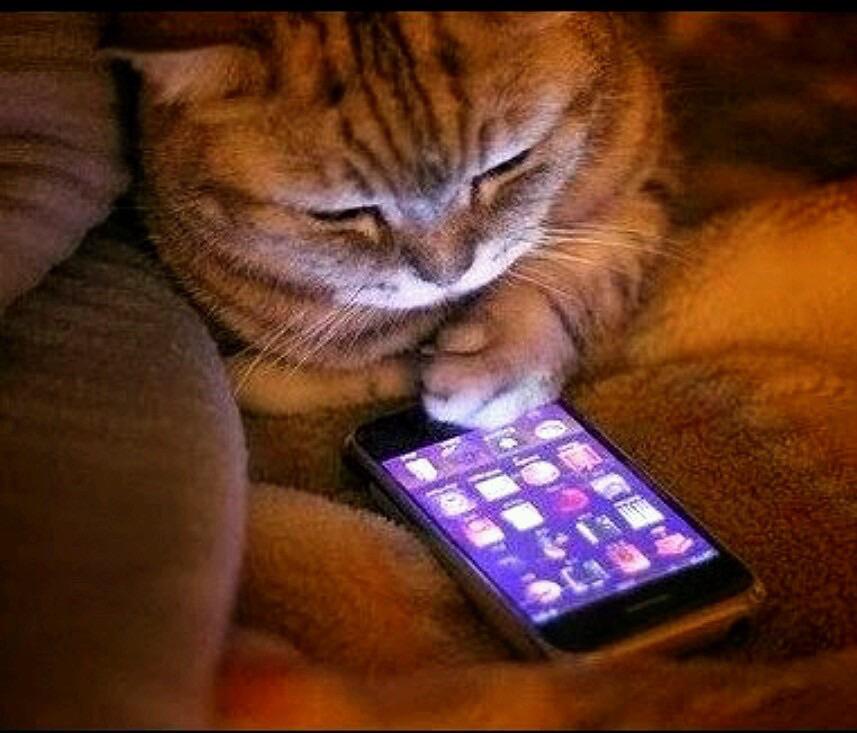 NowLoading...