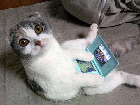 NowLoading...