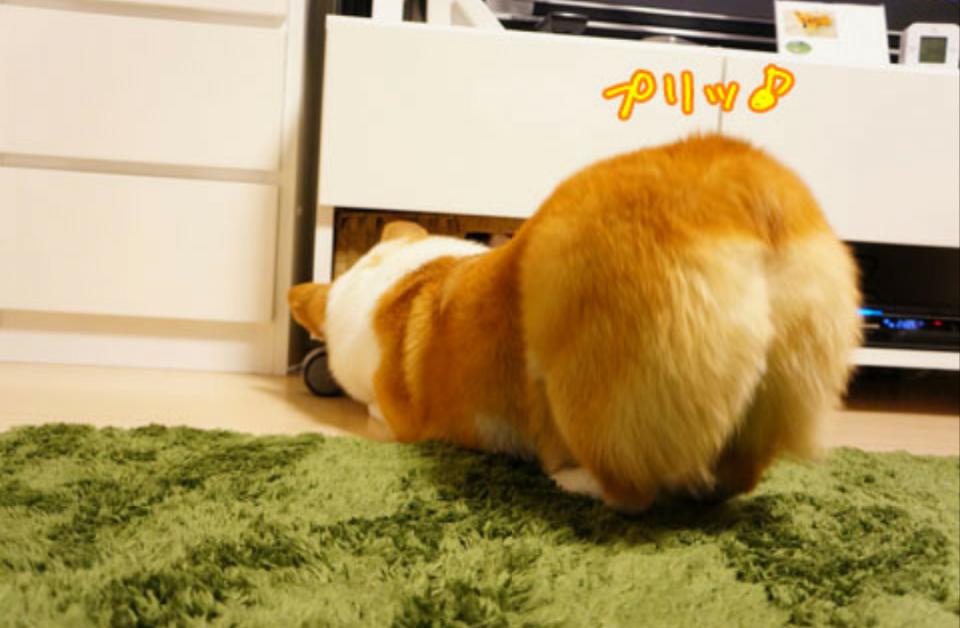 NowLoading...