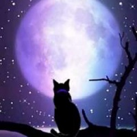 profile_image