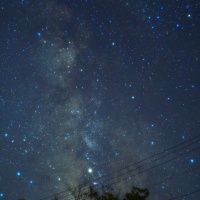 profile_image