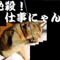 profile_image