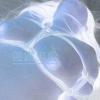 profile_image