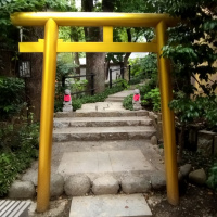 profile_image