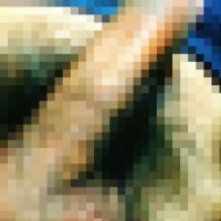profile_image