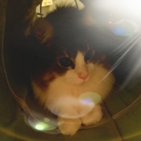 profile_image