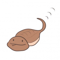 profile_image