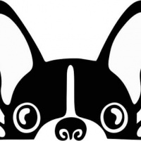 profile_image