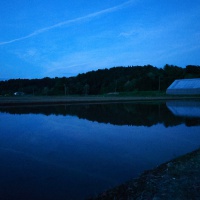profile_image