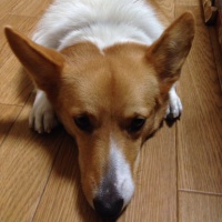 profile_image