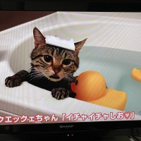 profile_image