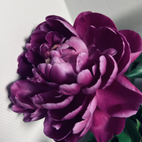 profile_image