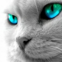 profile_image