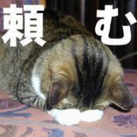 profile_image